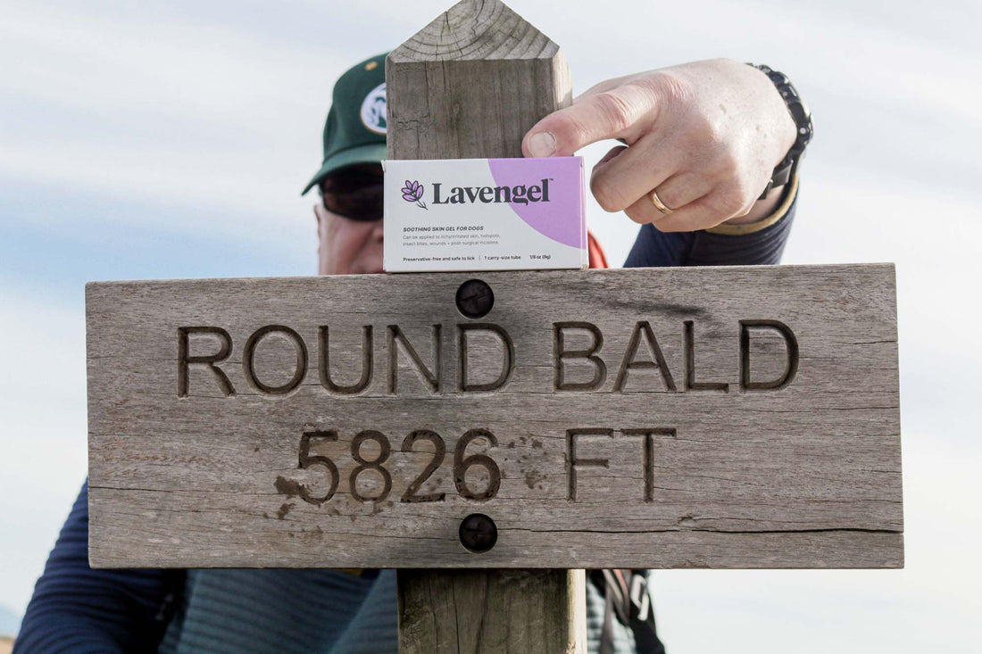Man stands behind altitude sign on hiking trail balancing box of Lavengel on top of sign