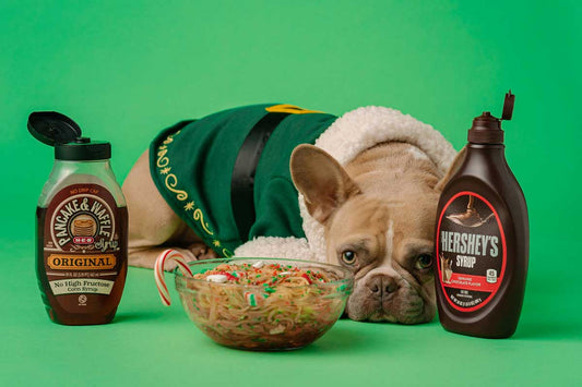 French Bulldog dressed like Buddy the elf lying behind bowl of spaghetti, a bottle of pancake syrup, and a bottle of Hershey's chocolate syrup