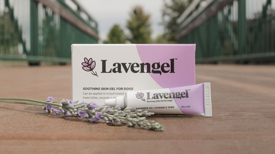 Closeup of box and tube of Lavengel with lavender sprigs on center of bridge