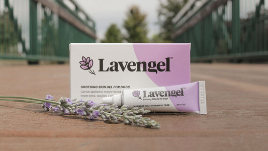 Closeup of box and tube of Lavengel with lavender sprigs on center of bridge