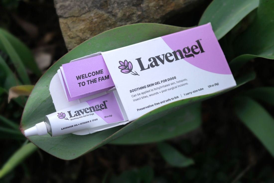 Box and tube of Lavengel aesthetically arranged on a green tulip leaf