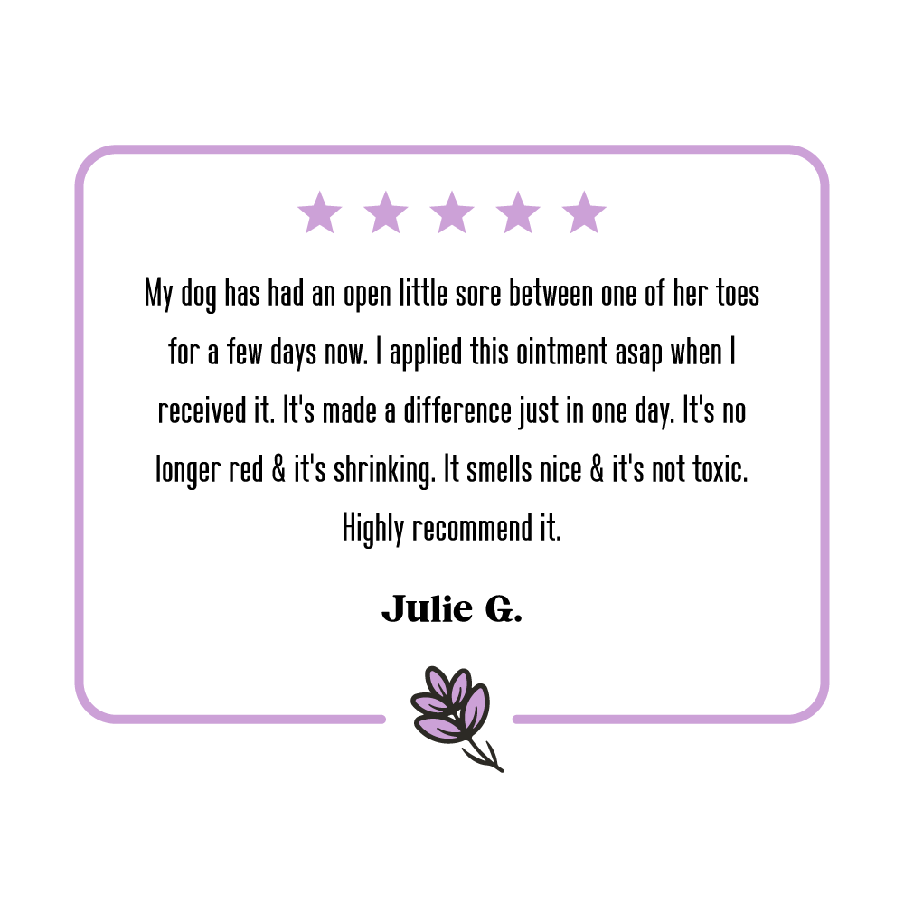 5-star review for Lavengel from Julie G which reads: 'My dog has had an open little sore between one of her toes for a few days now. I applied this ointment asap when I received it. It's made a difference in just one day. It's no longer red & it's shrinking. It smells nice & it's not toxic. Highly recommend it.'