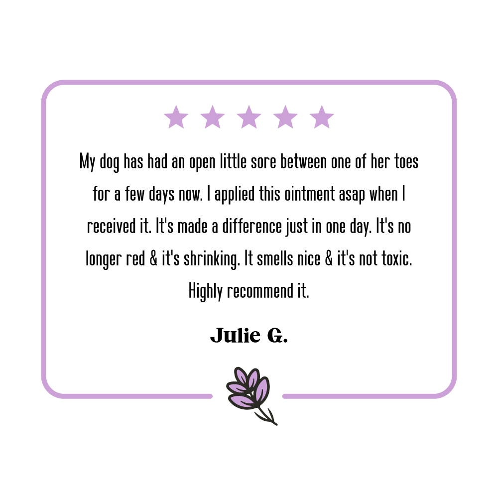 5-star review for Lavengel from Julie G which reads: 'My dog has had an open little sore between one of her toes for a few days now. I applied this ointment asap when I received it. It's made a difference in just one day. It's no longer red & it's shrinking. It smells nice &  it's not toxic. Highly recommend it.'