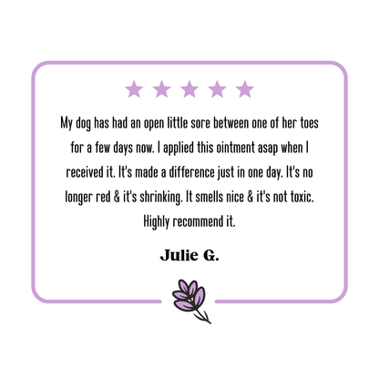 5-star review for Lavengel from Julie G which reads: 'My dog has had an open little sore between one of her toes for a few days now. I applied this ointment asap when I received it. It's made a difference in just one day. It's no longer red & it's shrinking. It smells nice &  it's not toxic. Highly recommend it.'