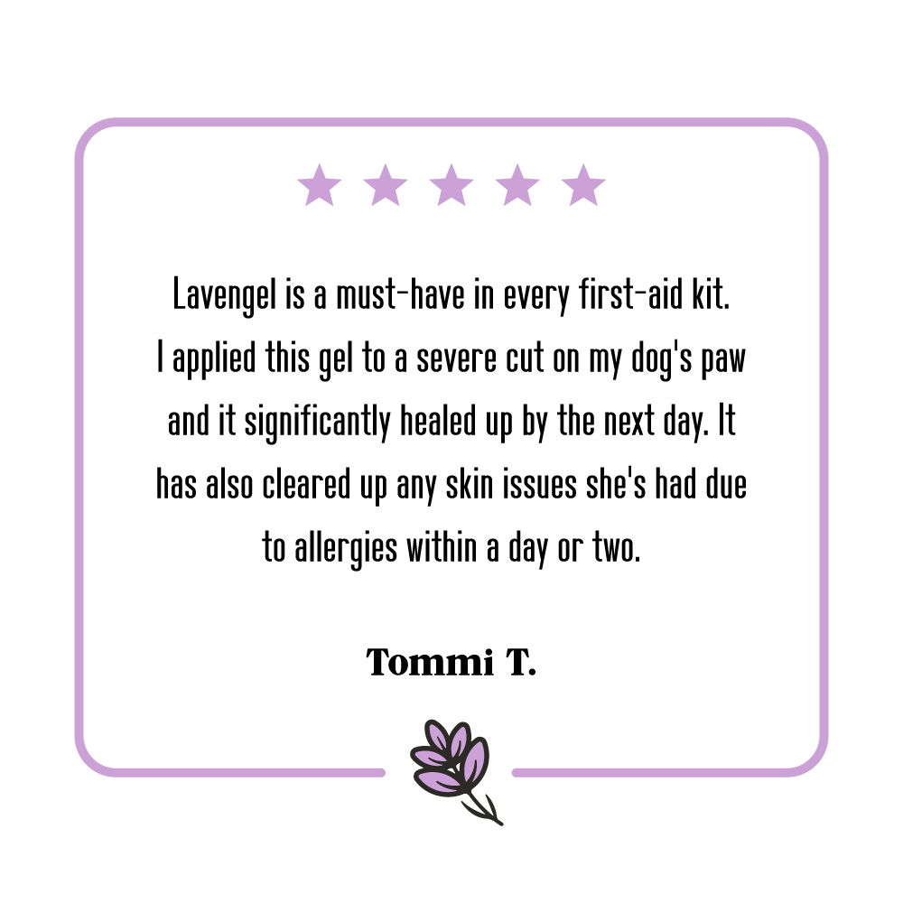 5-star review from Tommi T. that reads: 'Lavengel is a must-have in every first-aid kit. I applied this gel to a severe cut on my dog's paw and it significantly healed up by the next day. It has also cleared up any skin issues she's had due to allergies within a day or two.'