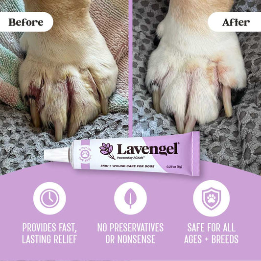 Top images: before and after images of infection between toes of dog paw treated with Lavengel; bottom: Lavengel tube above lavender arc with 3 icons describing 3 benefits: "Provides fast, lasting relief, No preservatives or nonsense, safe for all ages and breeds"