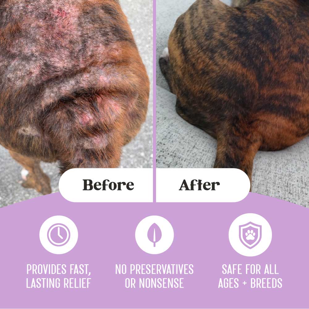 Top images: before and after images of extensive hot spot rash on back of brindle rescue dog treated with Lavengel; bottom: lavender arc with 3 icons describing 3 benefits: "Provides fast, lasting relief, No preservatives or nonsense, safe for all ages and breeds"