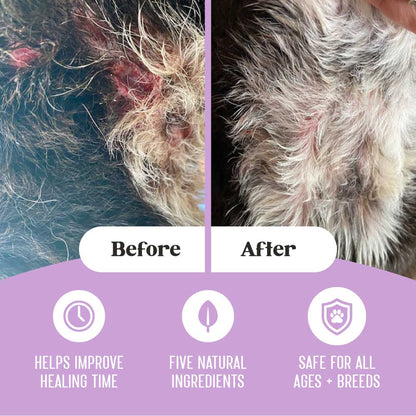 Top images: before and after images of prong collar wounds on neck of black and white dog healed by Lavengel wound care ointment; bottom: lavender arc with 3 icons describing 3 benefits: "Helps improve healing time, Five natural ingredients, safe for all ages and breeds"