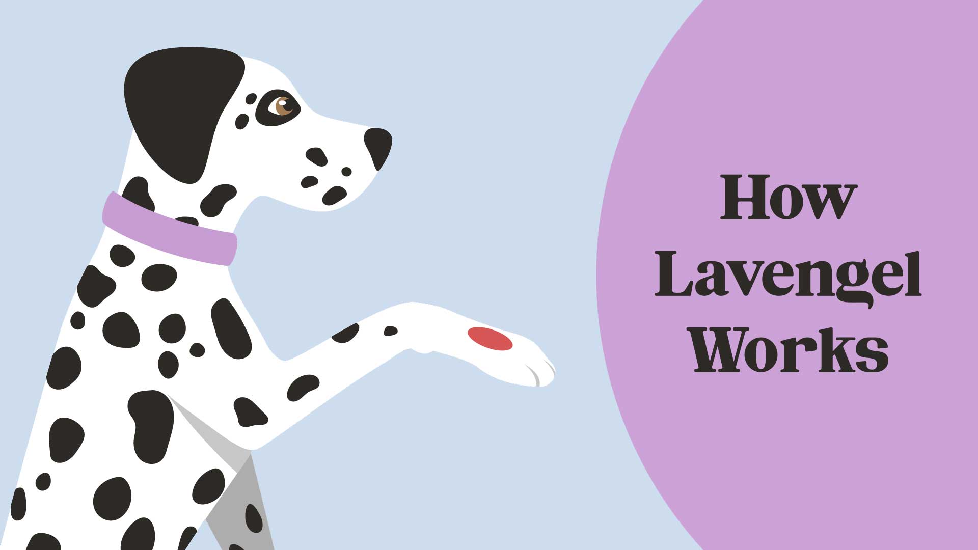Load video: Animated video describing how Lavengel&#39;s 5 ingredients work to aid in relief and skin healing