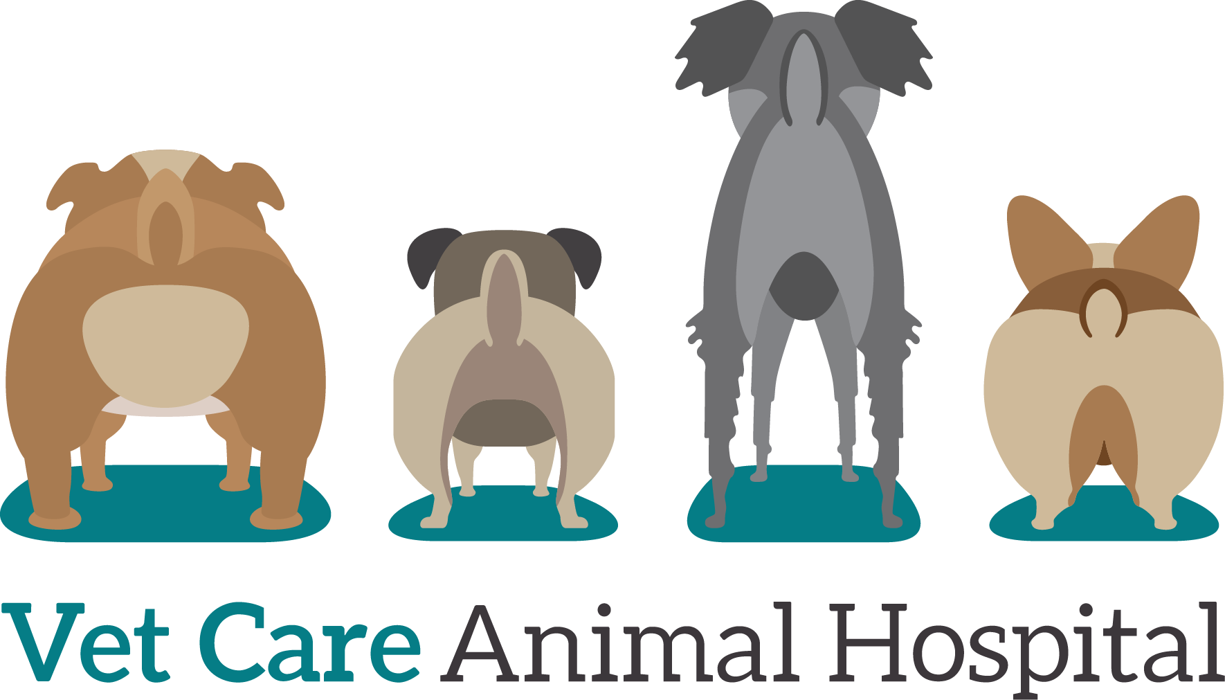 Vet Care Animal Hospital logo
