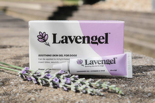 Box and tube of Lavengel with lavender sprigs sitting on concrete ledge in a park