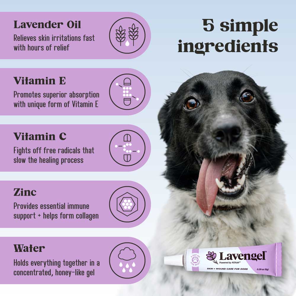 Image title: 5 simple ingredients; left side: 5 lavender rows with ingredient names, icons, and descriptions; right side: medium close-up of black and white dog with tongue hanging out and Lavengel tube superimposed over dog in bottom right