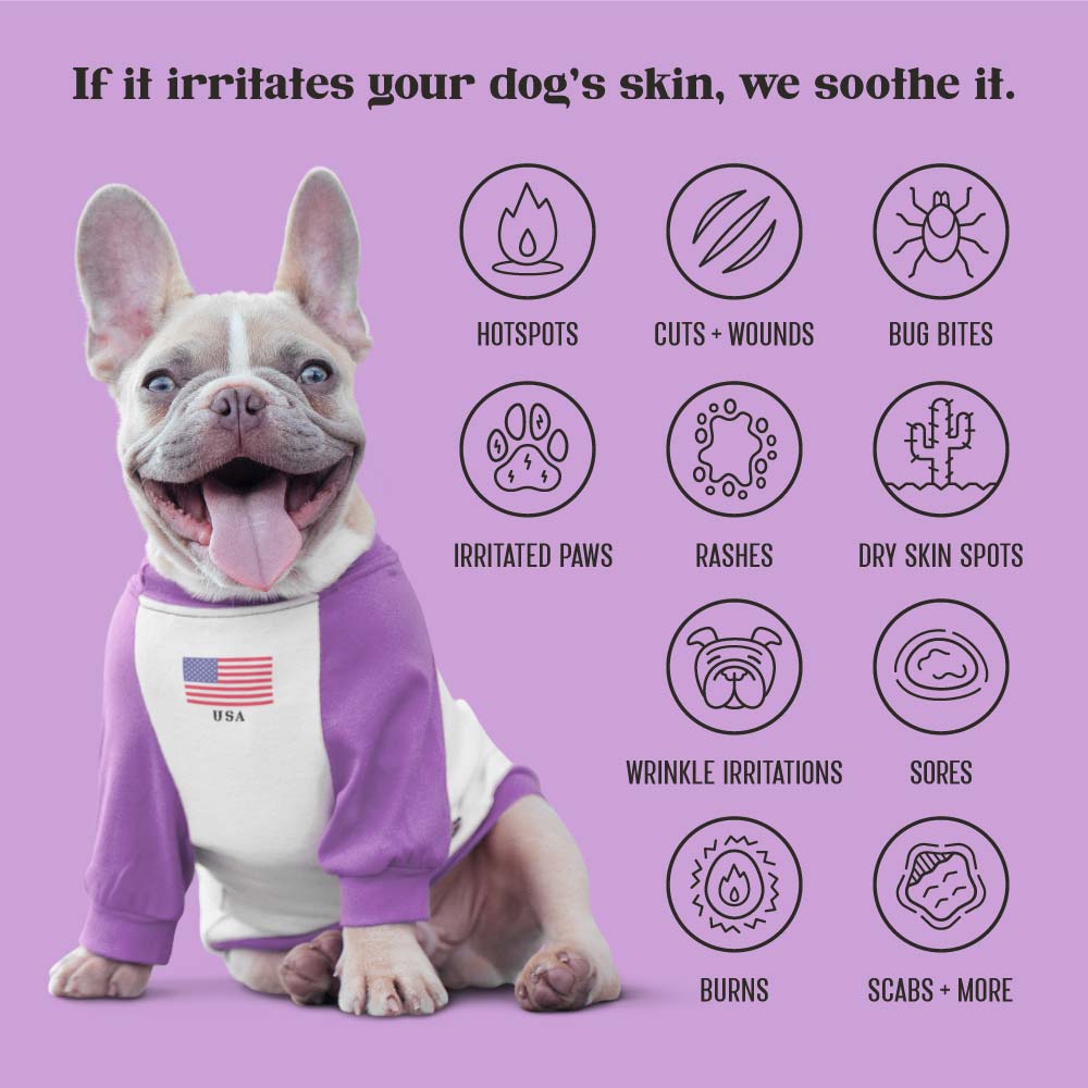 Top text: If it irritates your dogs' skin, we soothe it; Happy French bulldog wearing white and purple shirt with USA flag sits next to icons of various skin issues that Lavengel treats effectively 