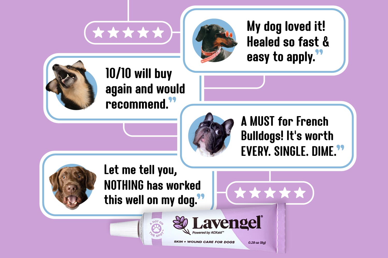 Lavengel® tube with four quote bubbles above containing customer reviews and dog faces