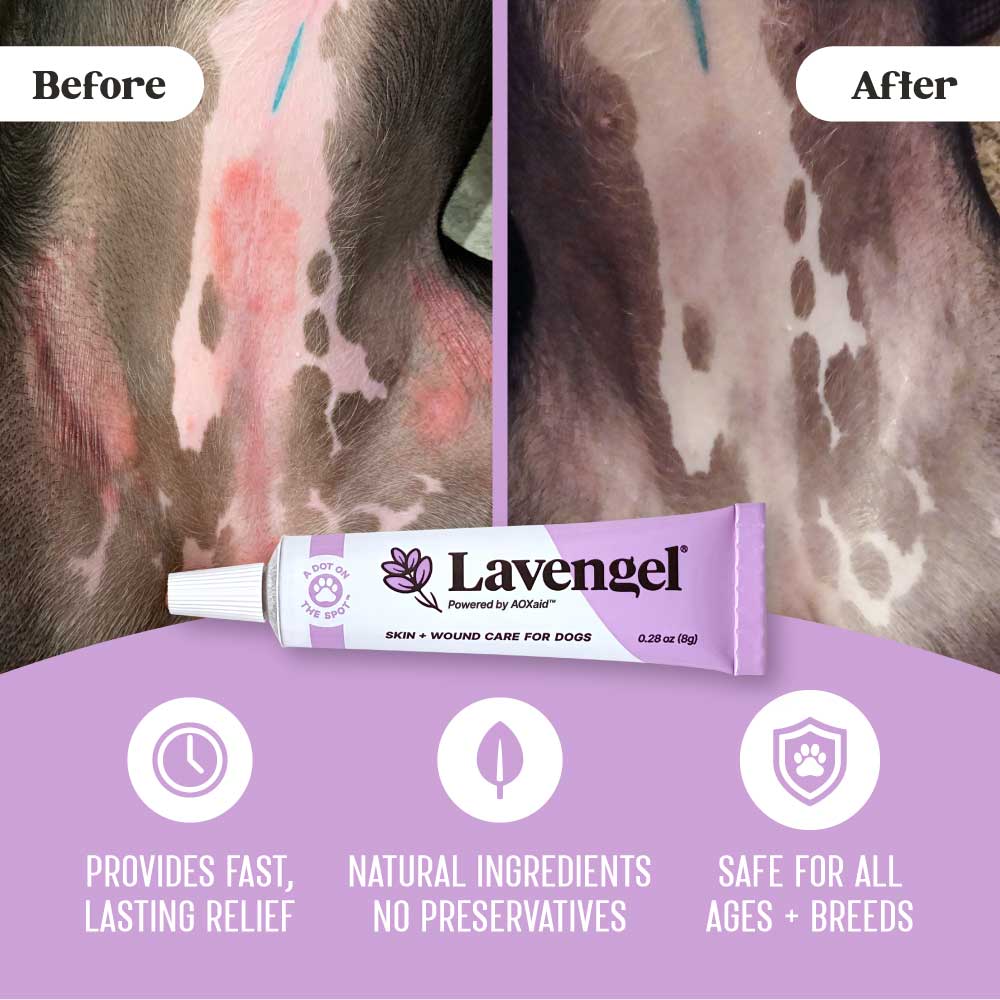 Lavengel Powerfully Soothing Canine Skin Wound Care Gel