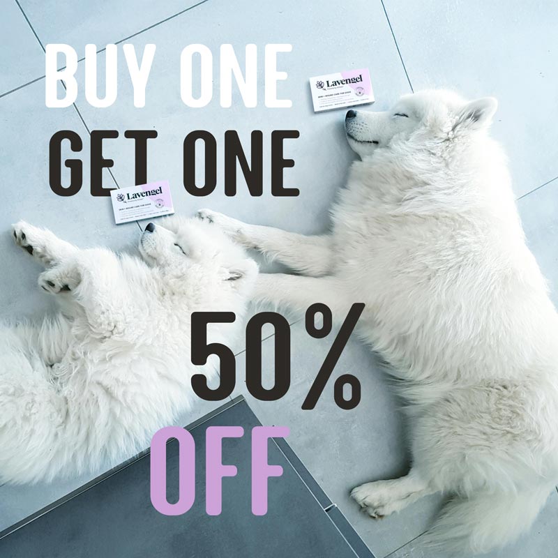 BOGO 50% off sale photo with boxes of Lavengel® resting on floor next to noses of two sleeping white dogs
