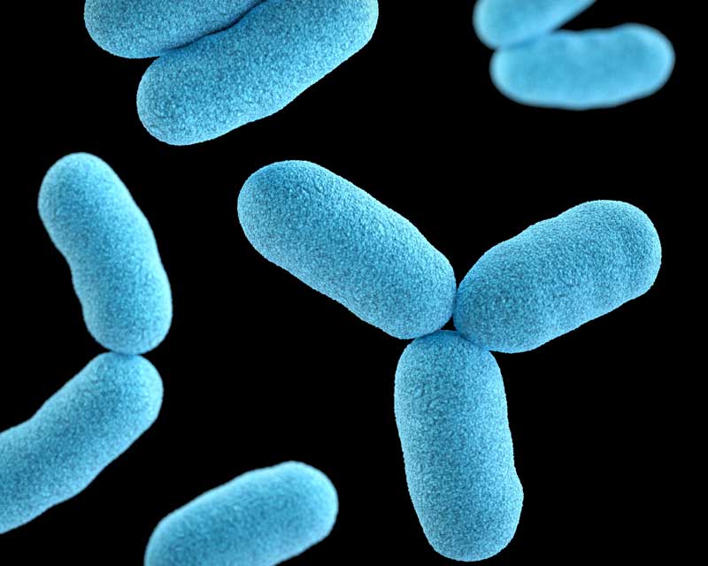 Computer-generated image of bacteria species, colored light blue
