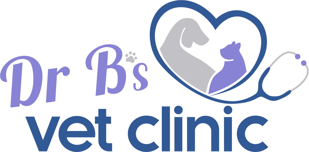 Dr. B's Healthy Pets animal hospital logo