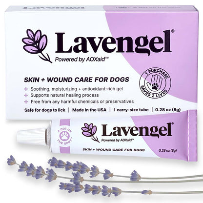 Lavengel box and tube with dried lavender sprigs on white background