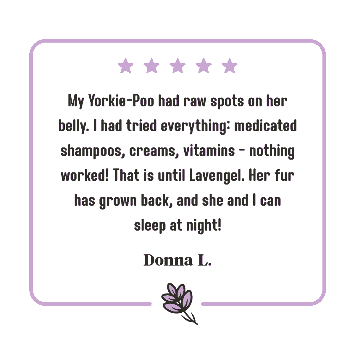 5-star review for Lavengel® that reads: My Yorkie-Poo had raw spots under each of her legs on her belly. I had tried everything: medicated shampoos, creams, vitamins - nothing worked! That is until Lavengel. Her fur has grown back, and she and I can sleep at night!