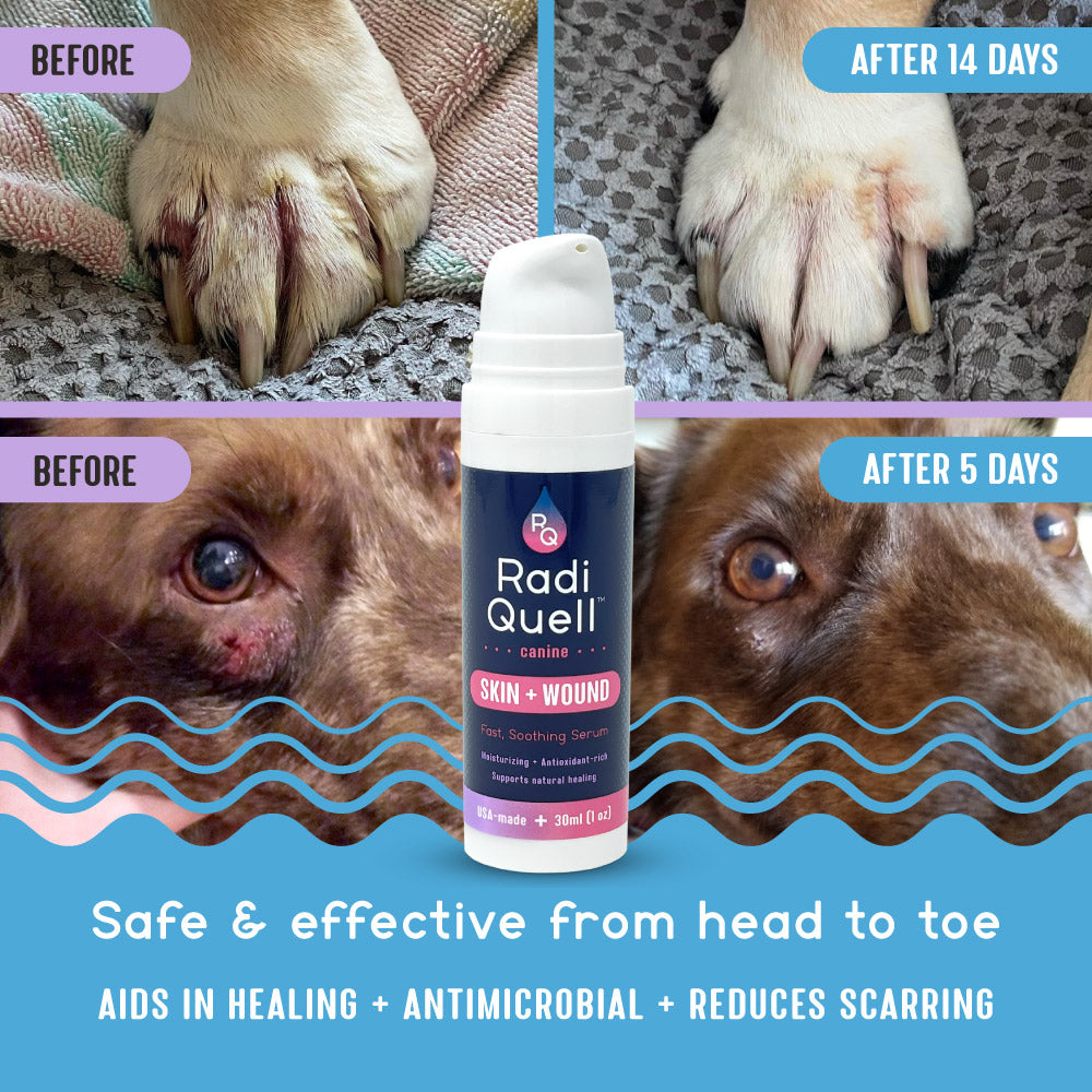 Two pairs of before and after images of an infected dog paw and wound below a dog's eye treated and healed with RadiQuell® Canine Skin and Wound Care pictured in the center; below, benefits read Safe and Effective from head to toe, Aids in Healing, Antimicrobial, and Reduces Scarring.