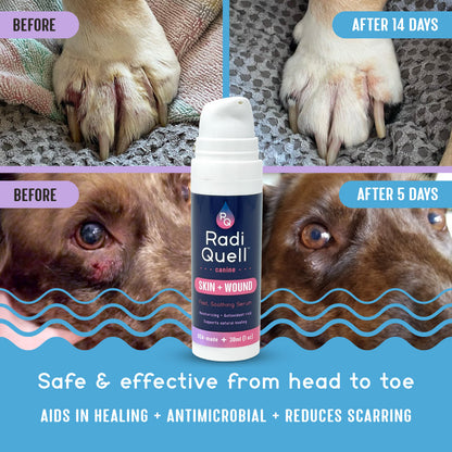 Two pairs of before and after images of an infected dog paw and wound below a dog's eye treated and healed with RadiQuell® Canine Skin and Wound Care pictured in the center; below, benefits read Safe and Effective from head to toe, Aids in Healing, Antimicrobial, and Reduces Scarring.