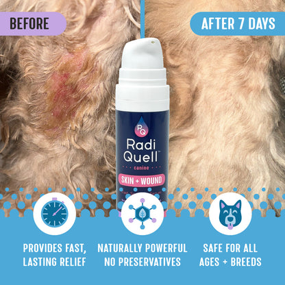 Before and after comparison of a dog's hot spot versus healed skin and fur, with a bottle of RadiQuell® Canine Skin and Wound product and product benefits that read Provides Fast, Lasting Relief, Naturally Powerful, No Preservatives, Safe for All Ages and Breeds.