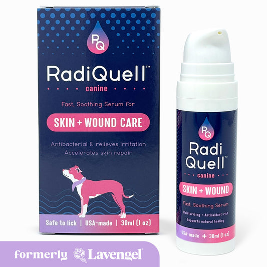 RadiQuell® Canine fast-soothing skin & wound care serum shown with its retail box and the serum bottle. The packaging features a dark blue background with lavender accents, a dog illustration, and the RadiQuell logo. The tag in the bottom left corner reads 'formerly Lavengel®'.
