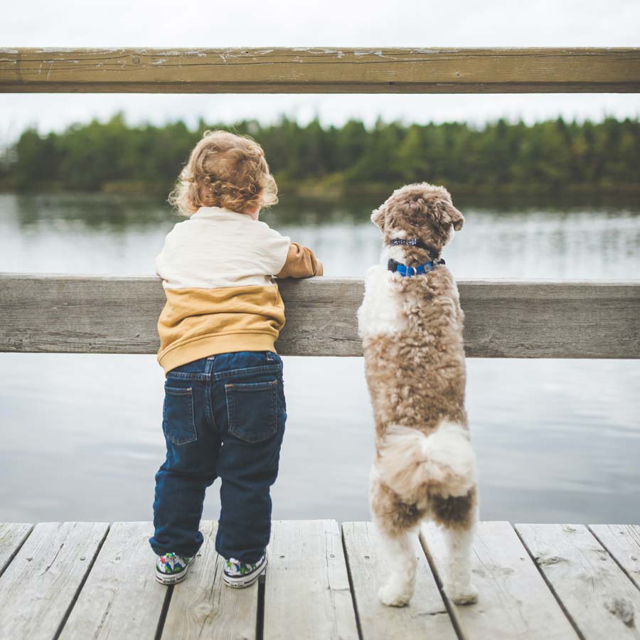 Toddler wearing white and yellow sweater and jeans leans against dock rail with small brown and white dog looking out at lake